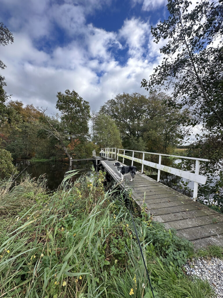 Wandeling Rottige Meente