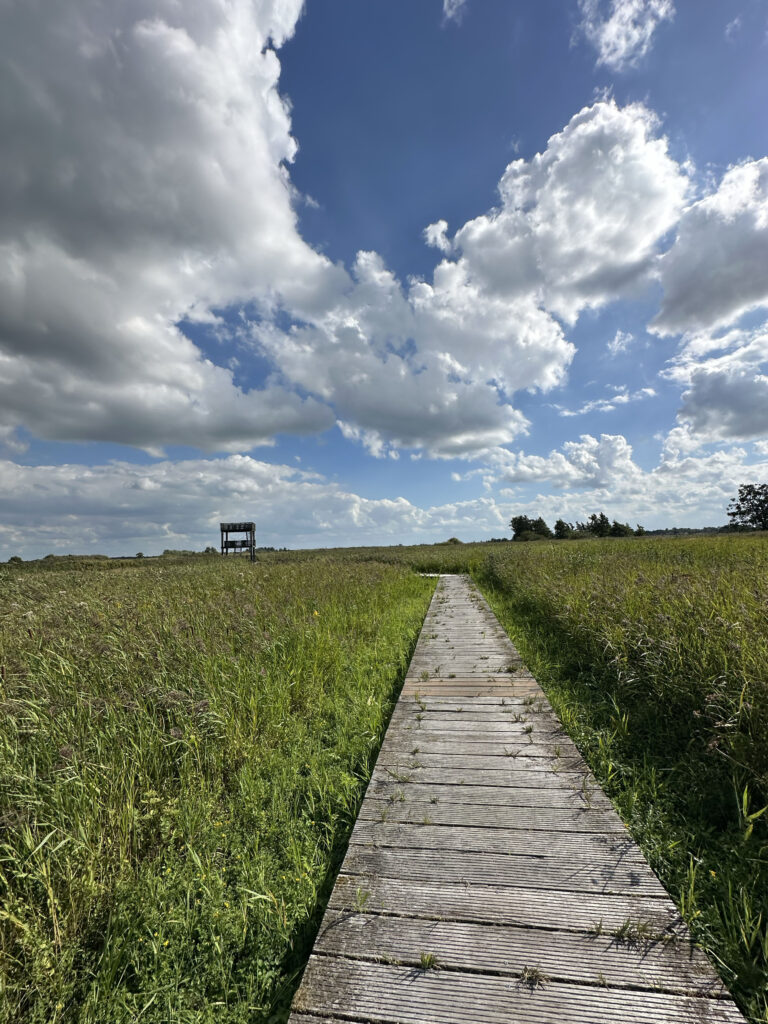 Vlonderpad Soestpolder