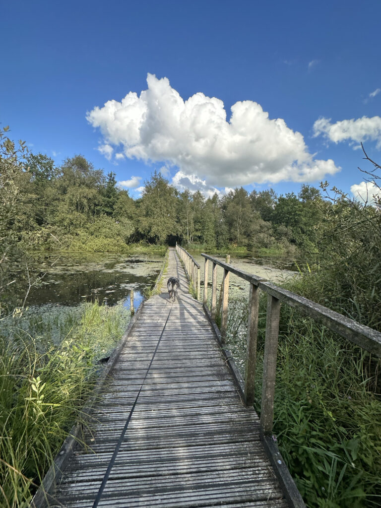 Vlonderpaden De Deelen