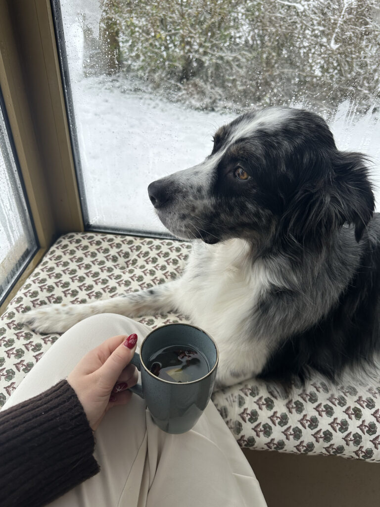 Wintervakantie Friesland 