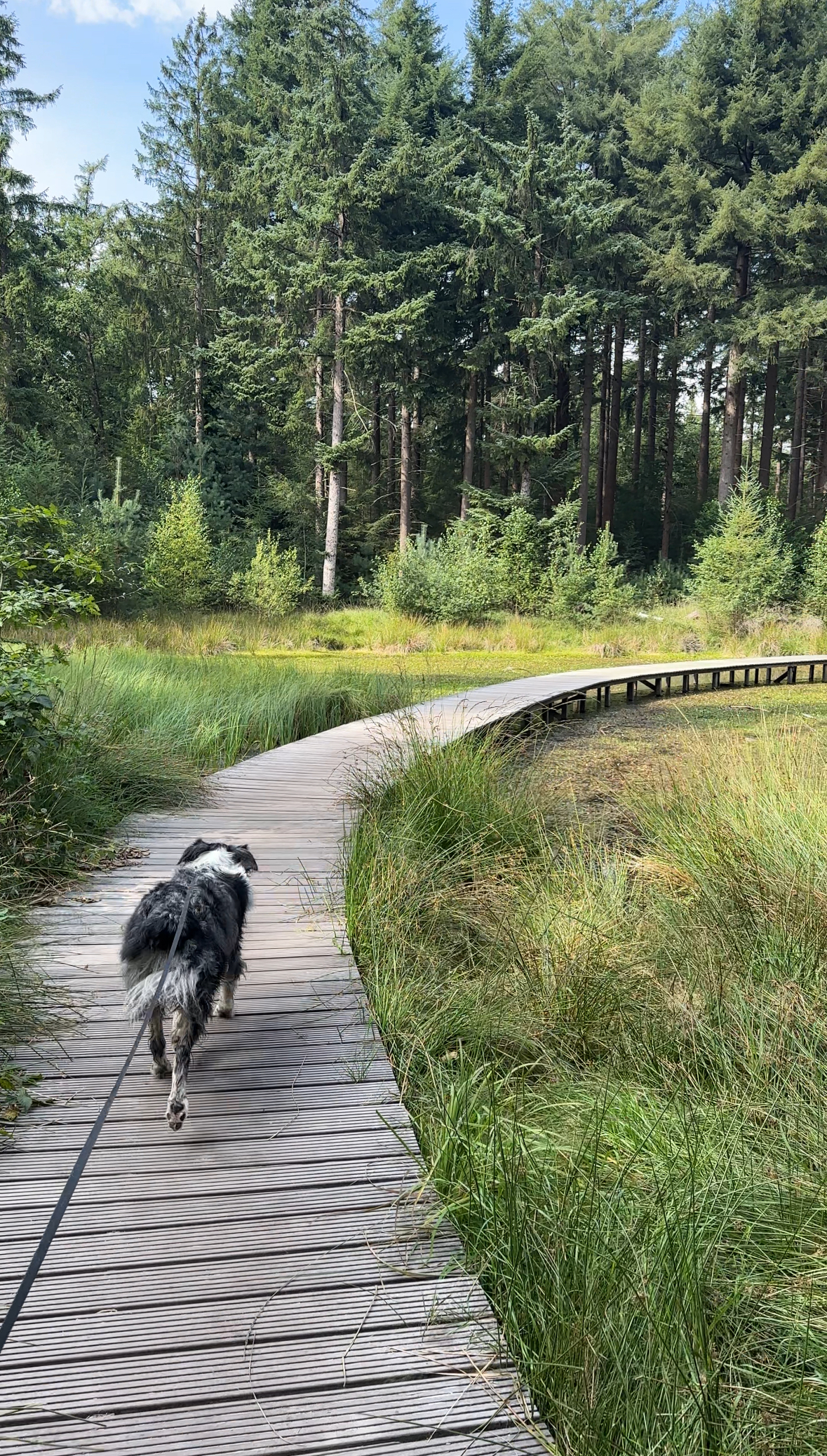 Vlonderpad Beetsterzwaag