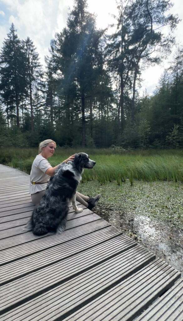 Wallebos Beetsterzwaag