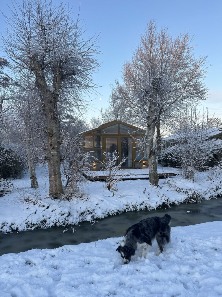 Hondvriendelijke vakantie 