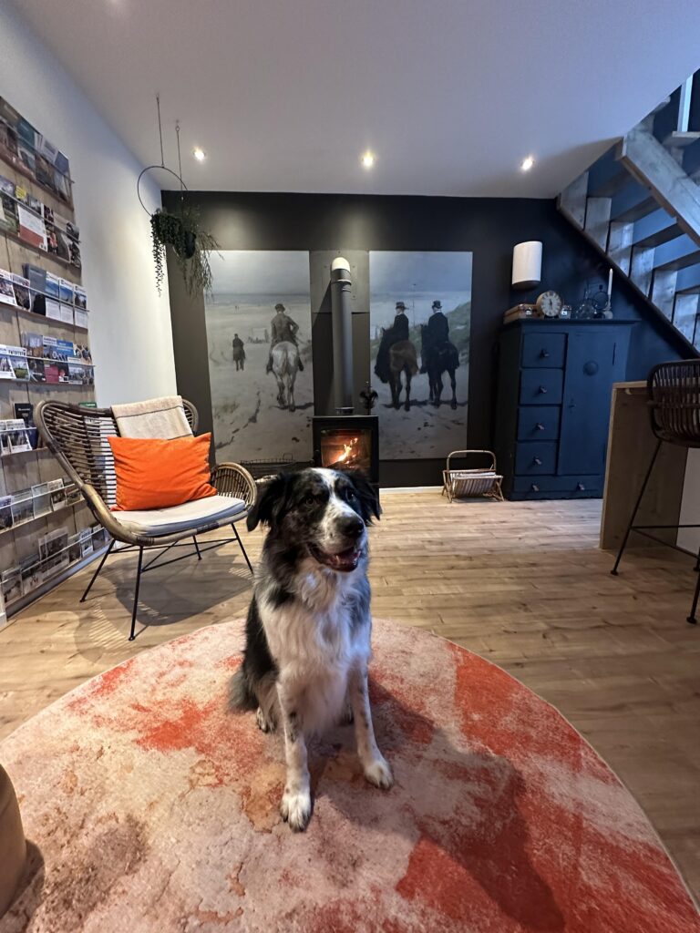 Thús Yn Hantum bed en breakfast 