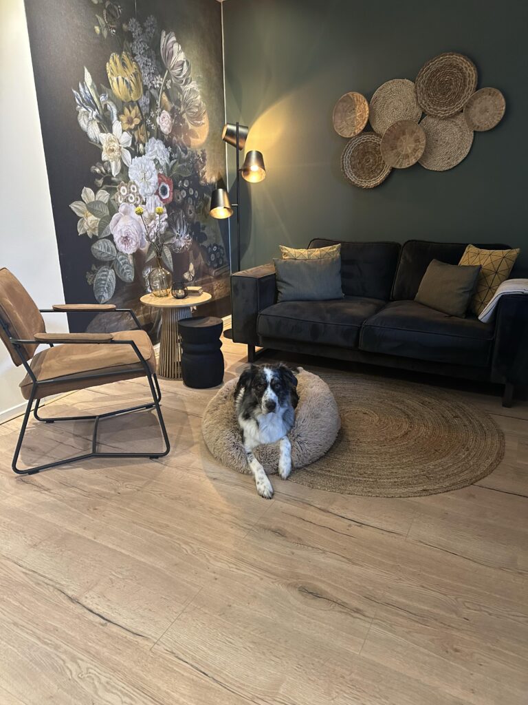 honden toegestaan bed en breakfast friesland