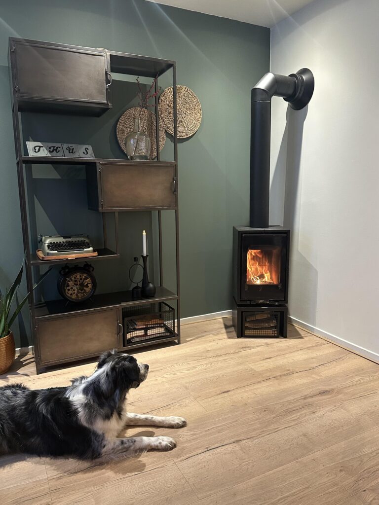 hondvriendelijke b&B