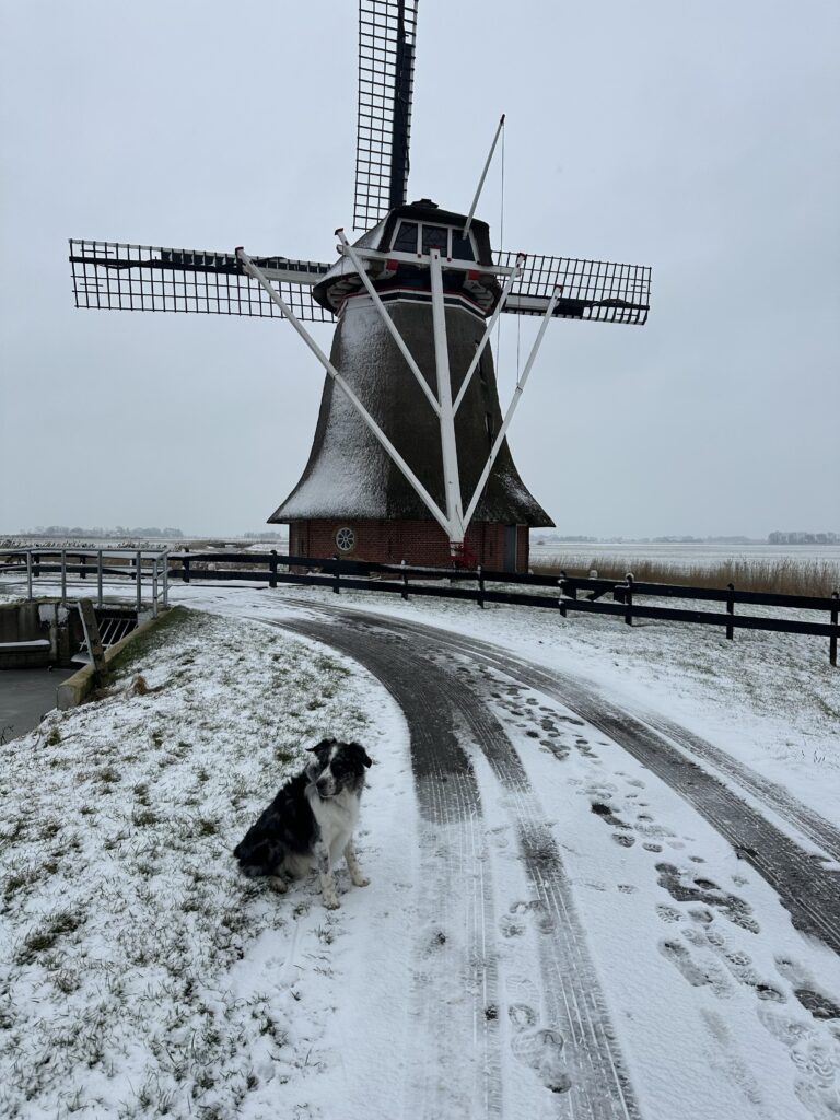 bed en breakfast friesland