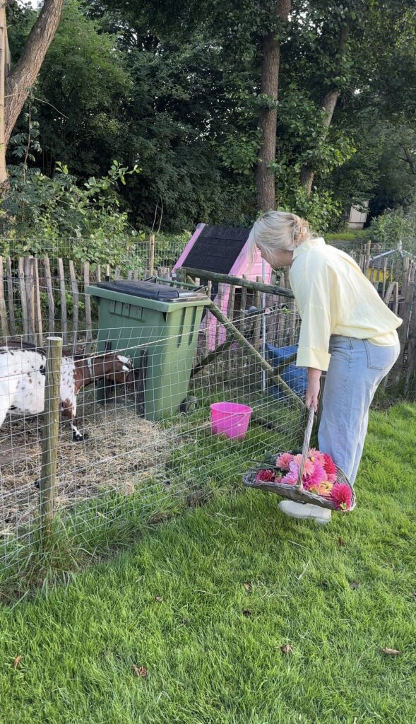 De Bonte Specht pluktuin 