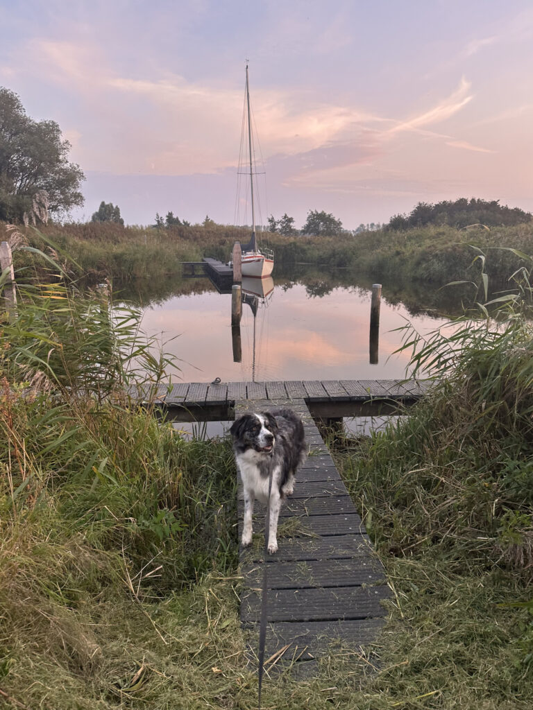 Wandelroutes in Friesland