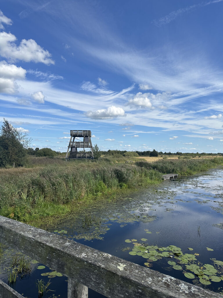 Alde Feanen Friesland