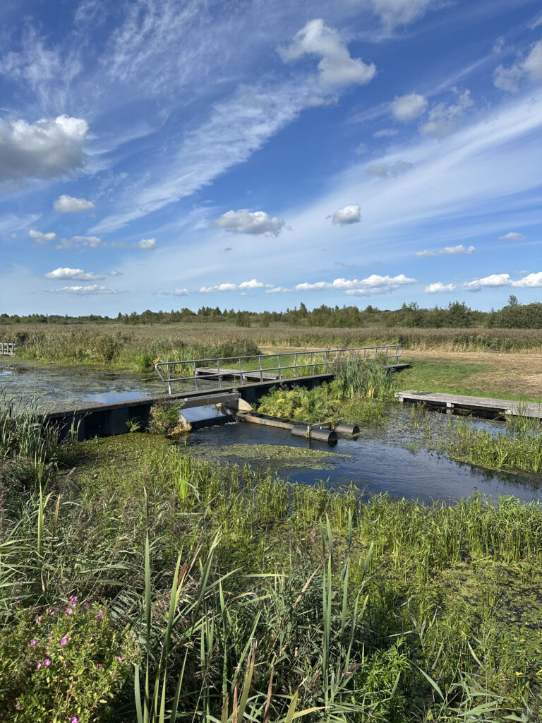 Alde Feanen Friesland wandelen