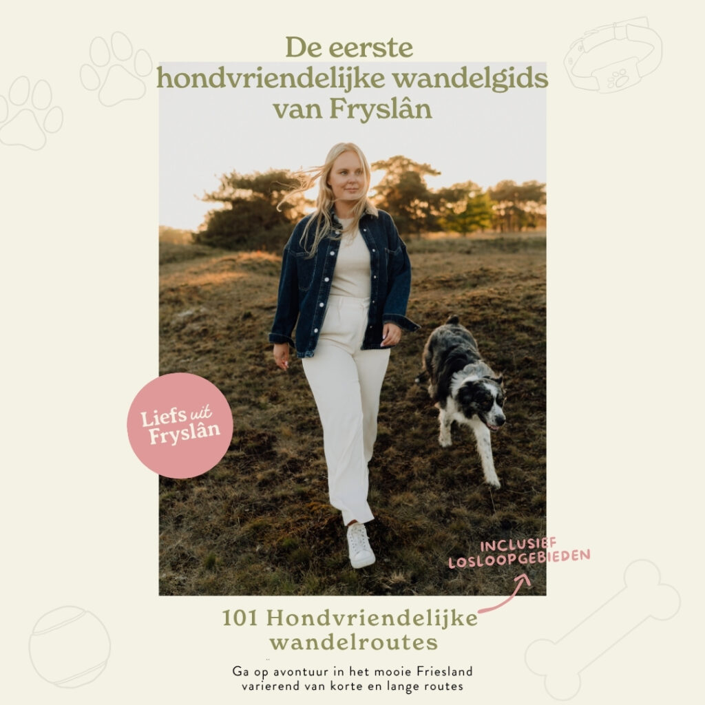 Wandelroutes hond Friesland