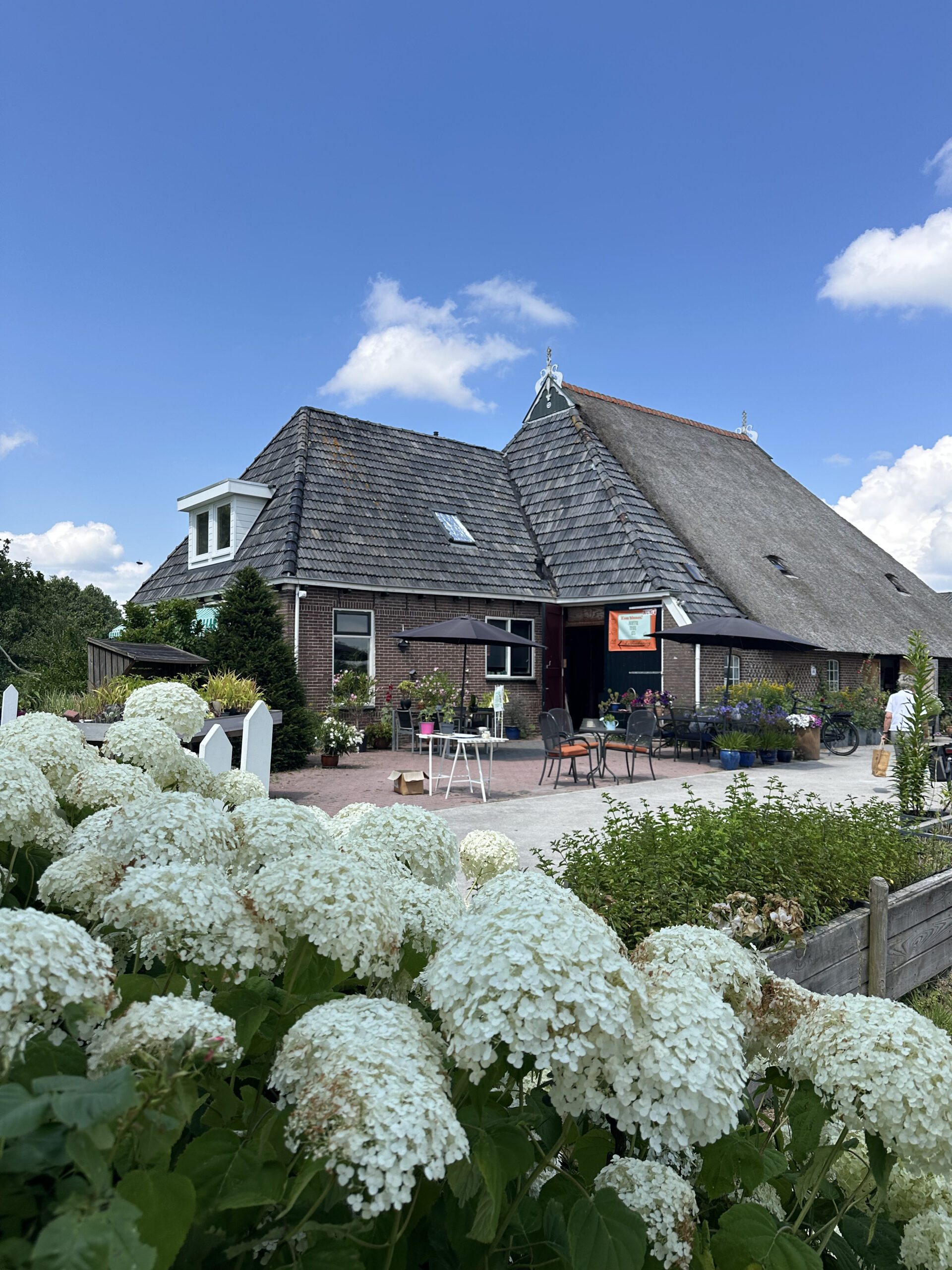 Theetuinen in Friesland