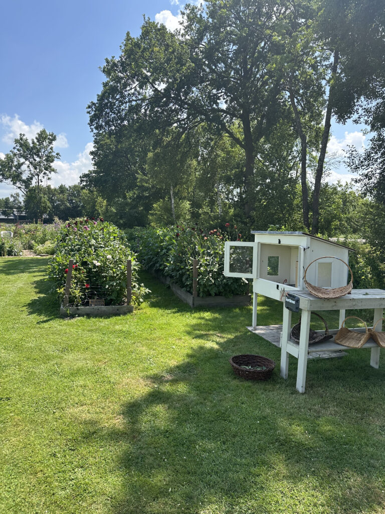 Theetuin en pluktuin Friesland