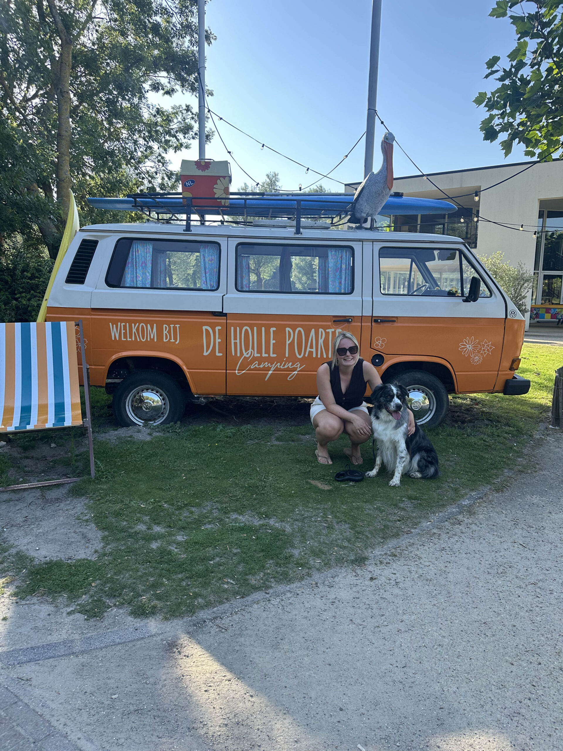 Camping hond Friesland