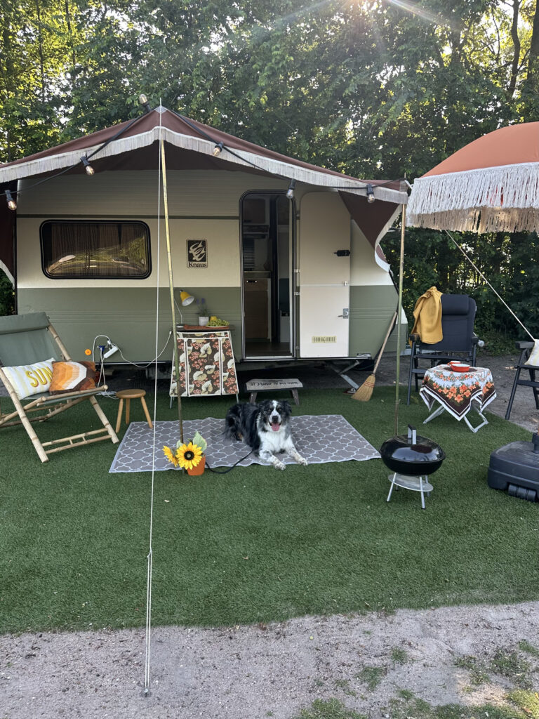 hondvriendelijke camping Friesalnd