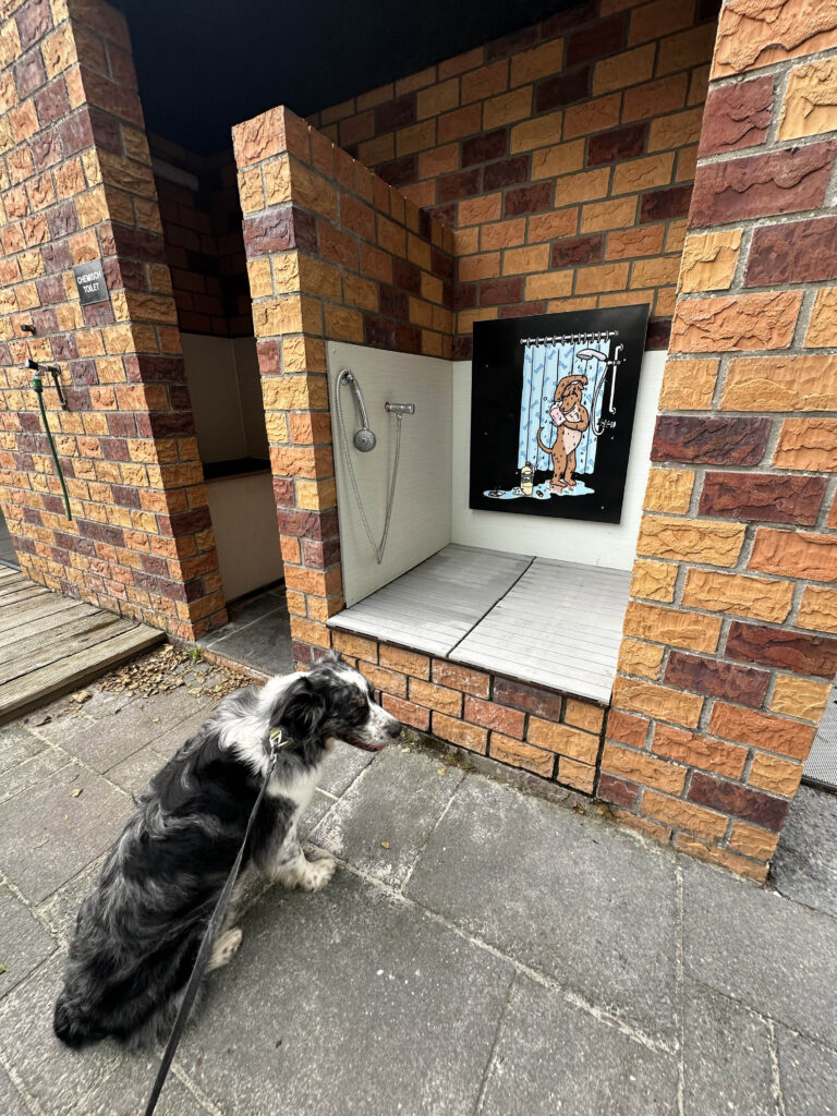 Camping hond Friesland