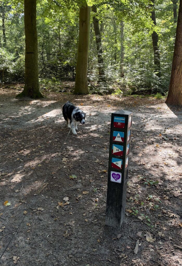Relatiewandeling Beetsterwaag