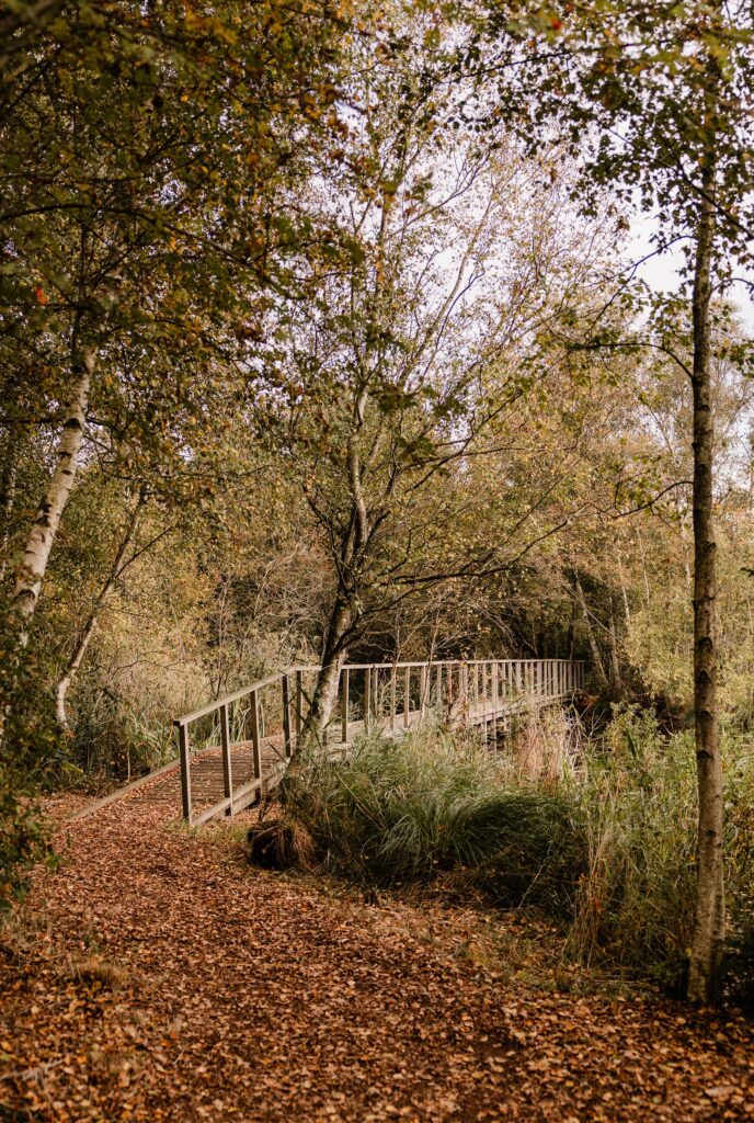 Wandelen De Deelen