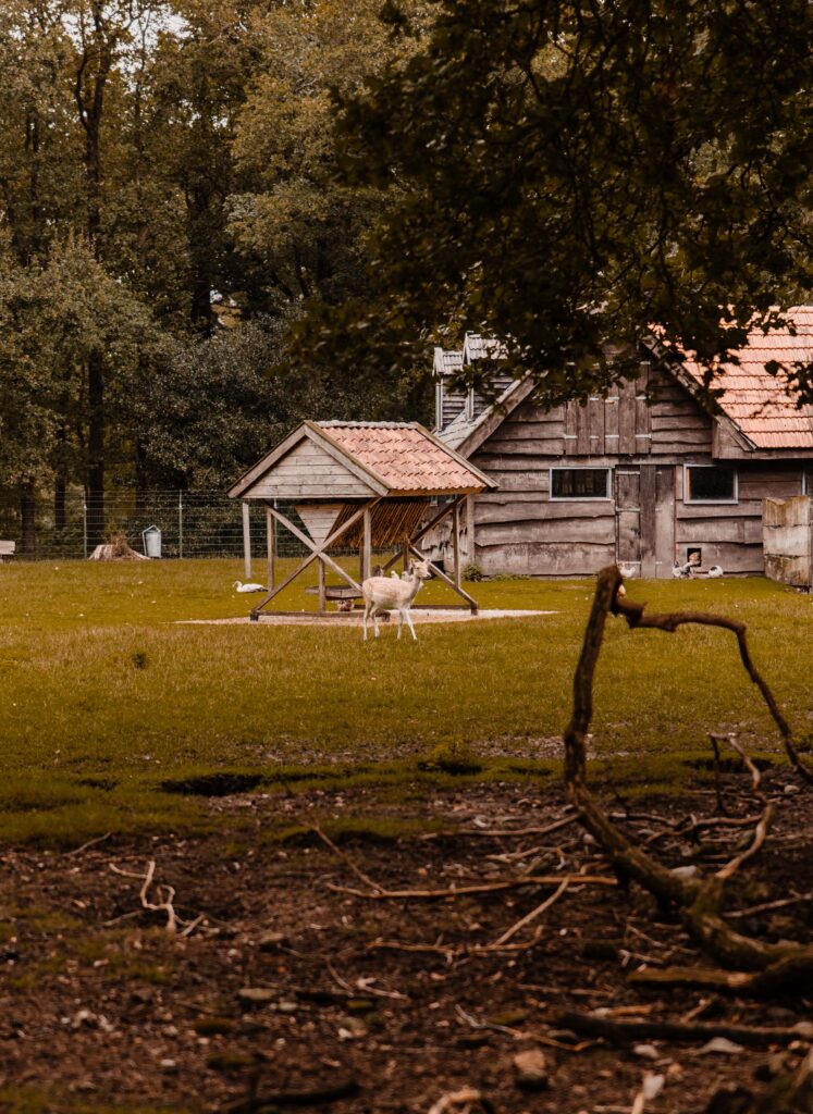 Hertenkamp Oldeberkoop