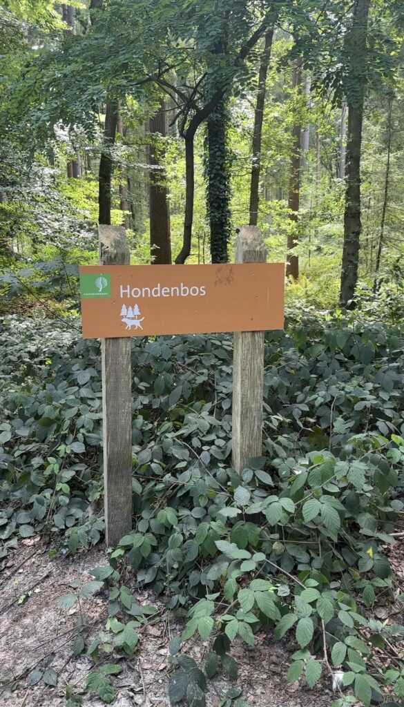 Hondenbos Friesland