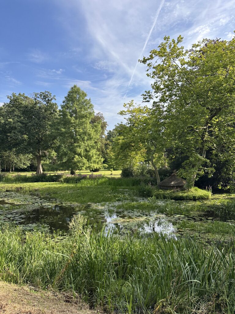Oranjewoud wandelen