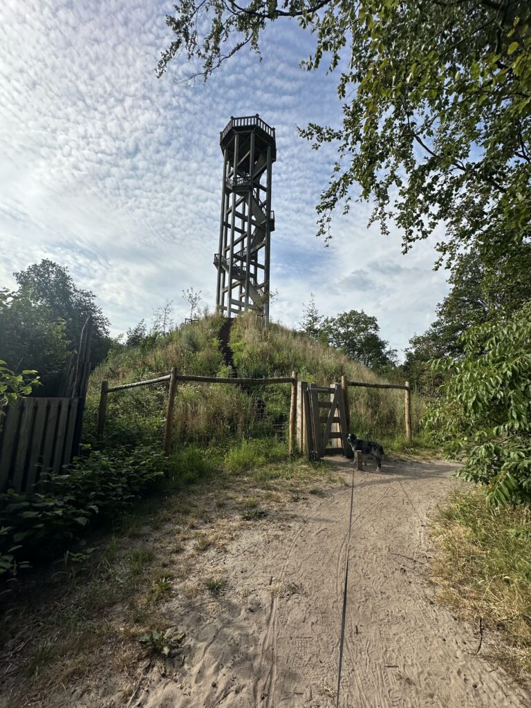 Uitkijktoren Oranjewoud