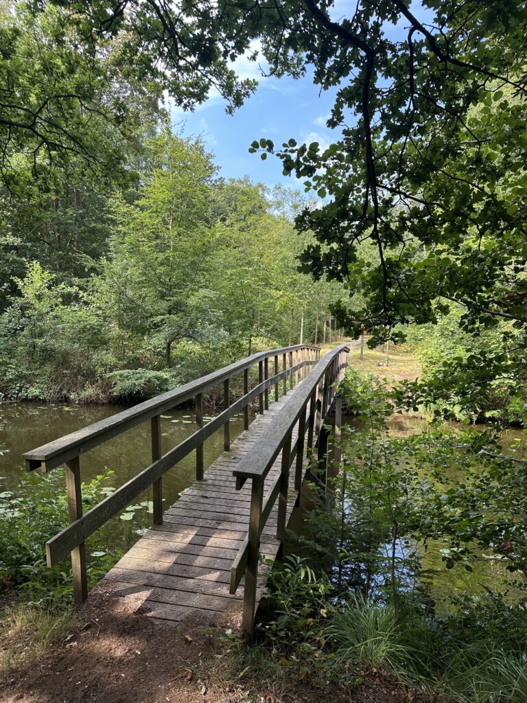 Wandelen met hond in Oranjewoud