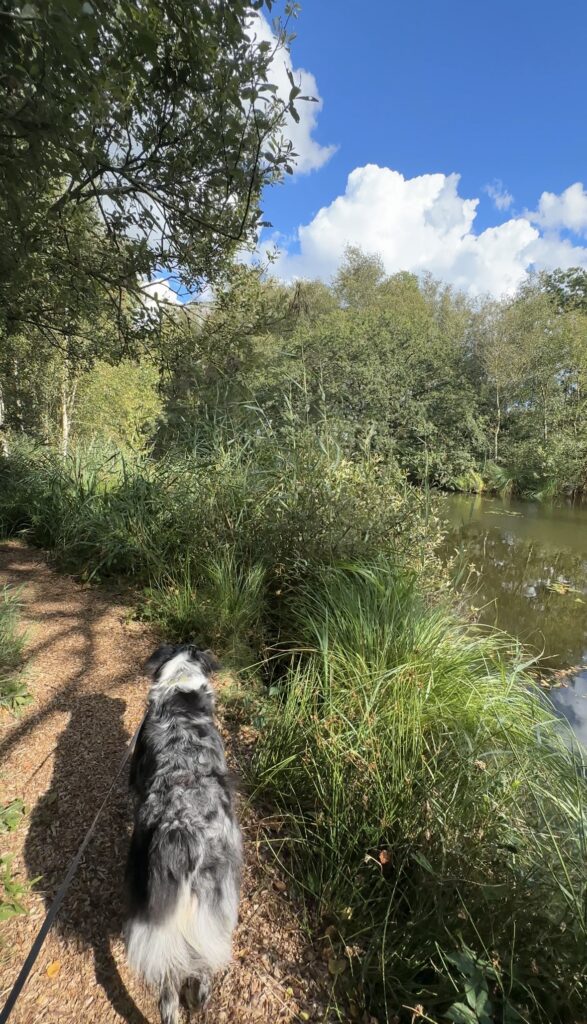 Wandelen De Deelen