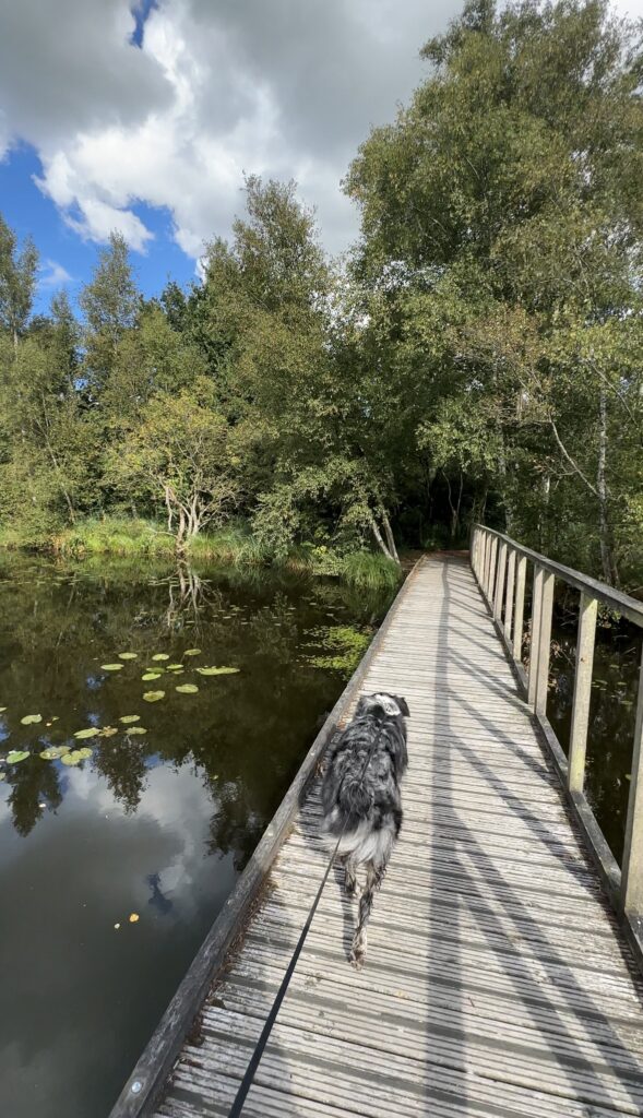Wandelen De Deelen