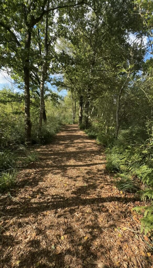 De Deelen wandelen