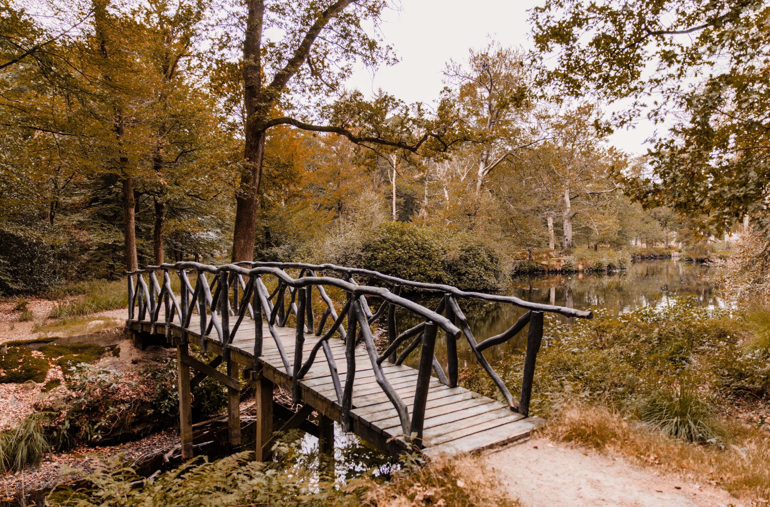 Koepelbos Oldeberkoop wandelen