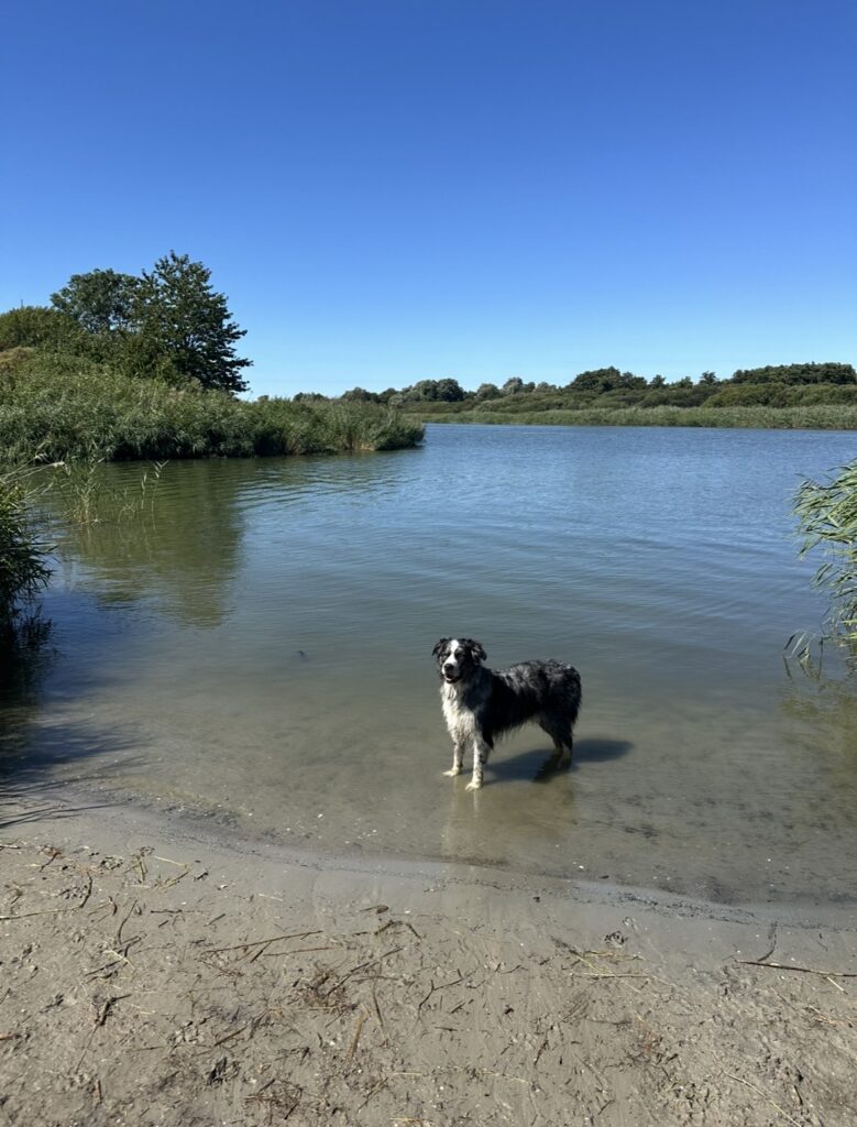 Losloopgebied Makkum