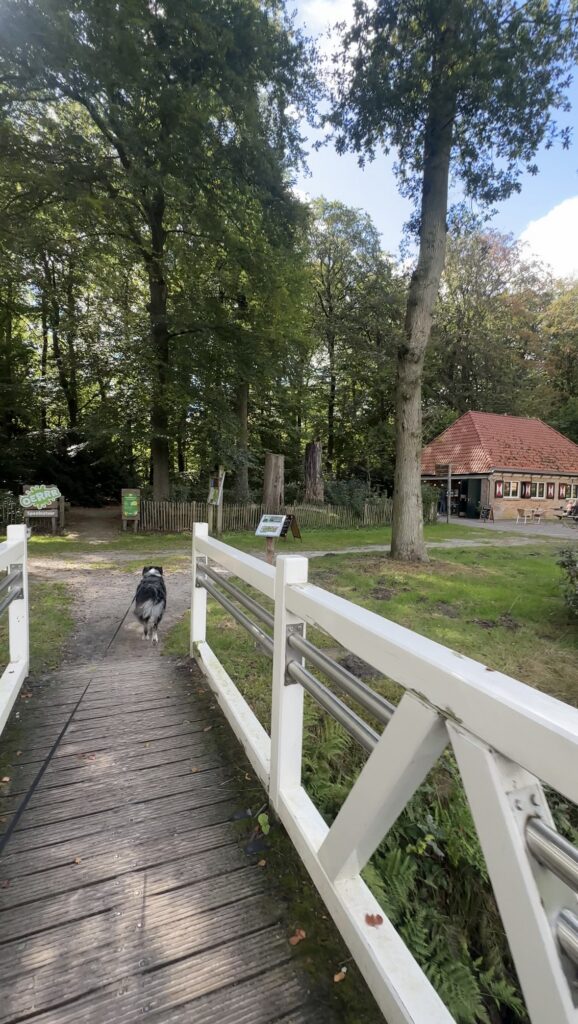 bakkeveen wandelen met hond