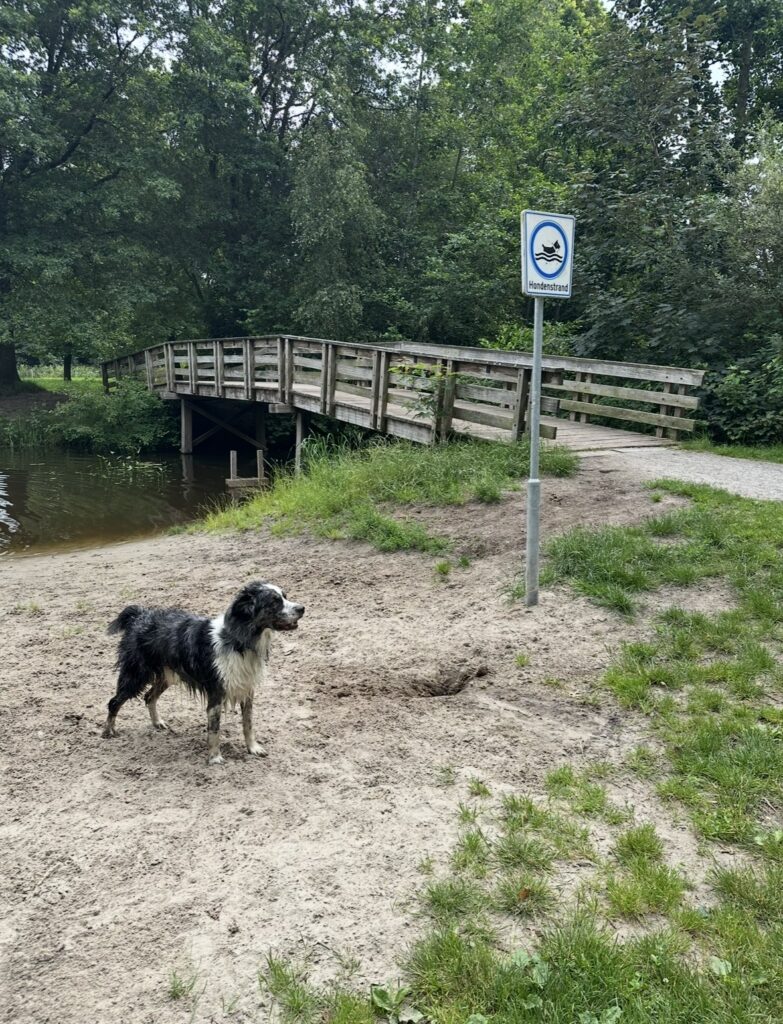 Wandelen de heide heerenveen