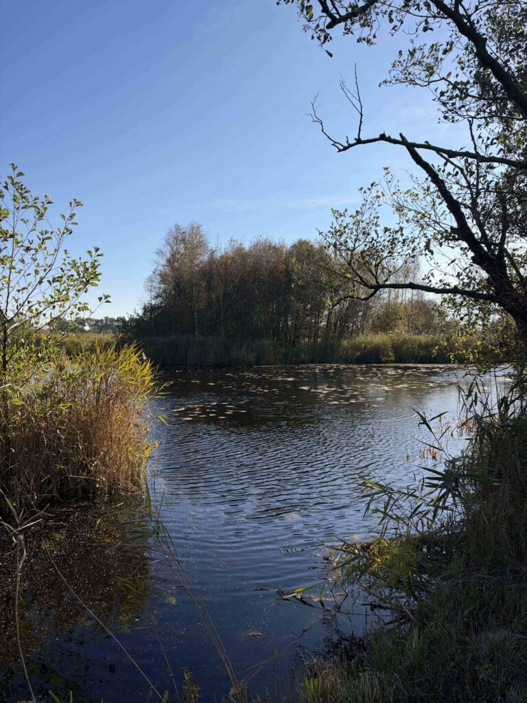 Alde Feanen natuur