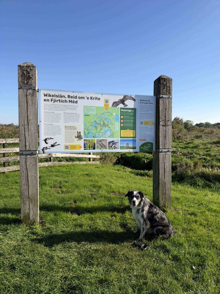 Wandelroute It Wikelslân