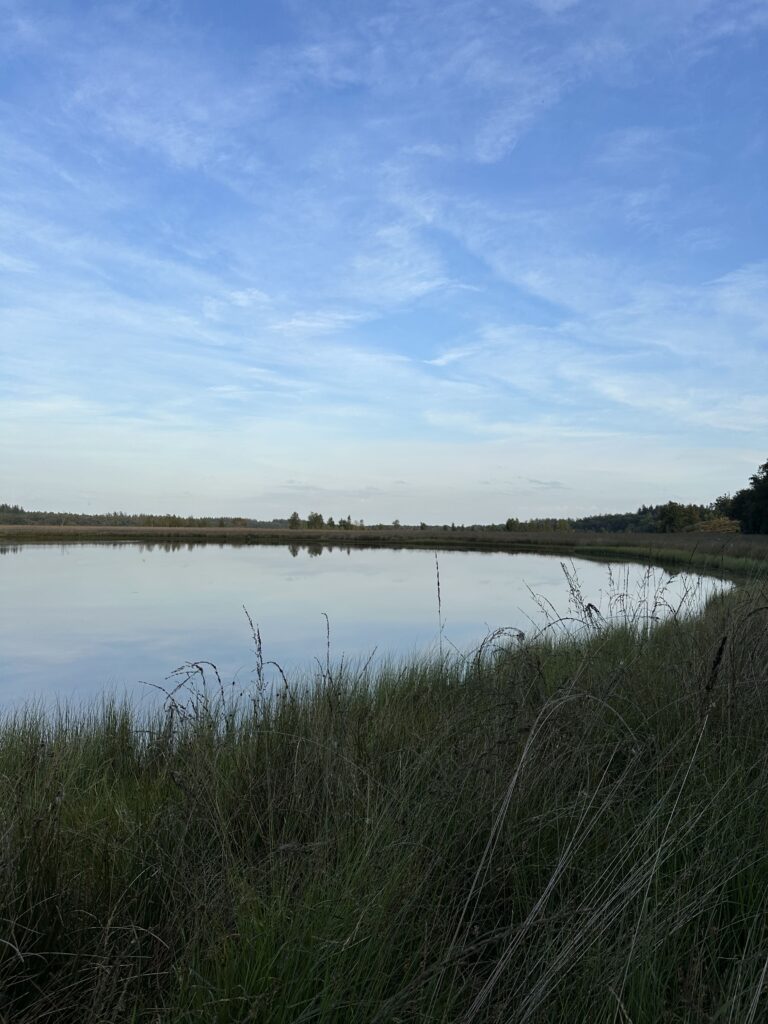 Duurswouderheide