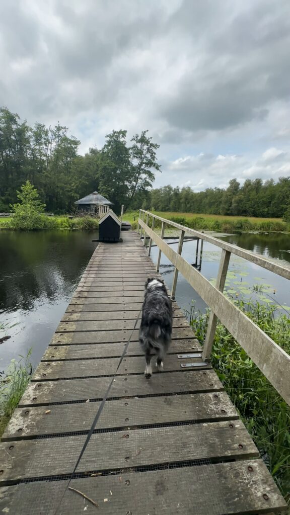 Moerasgebied Rottige Meente