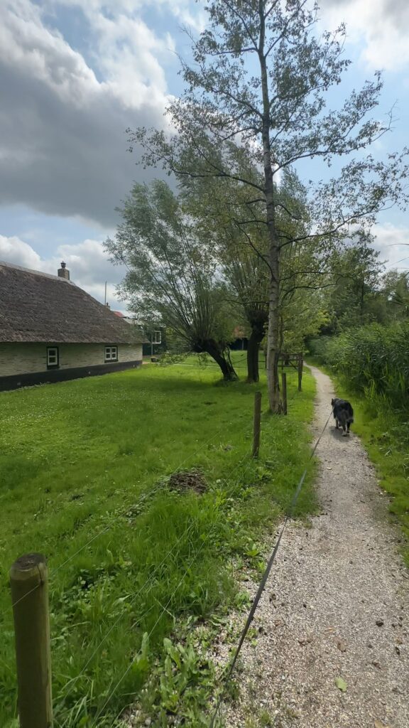 Wandelen Rottige Meente