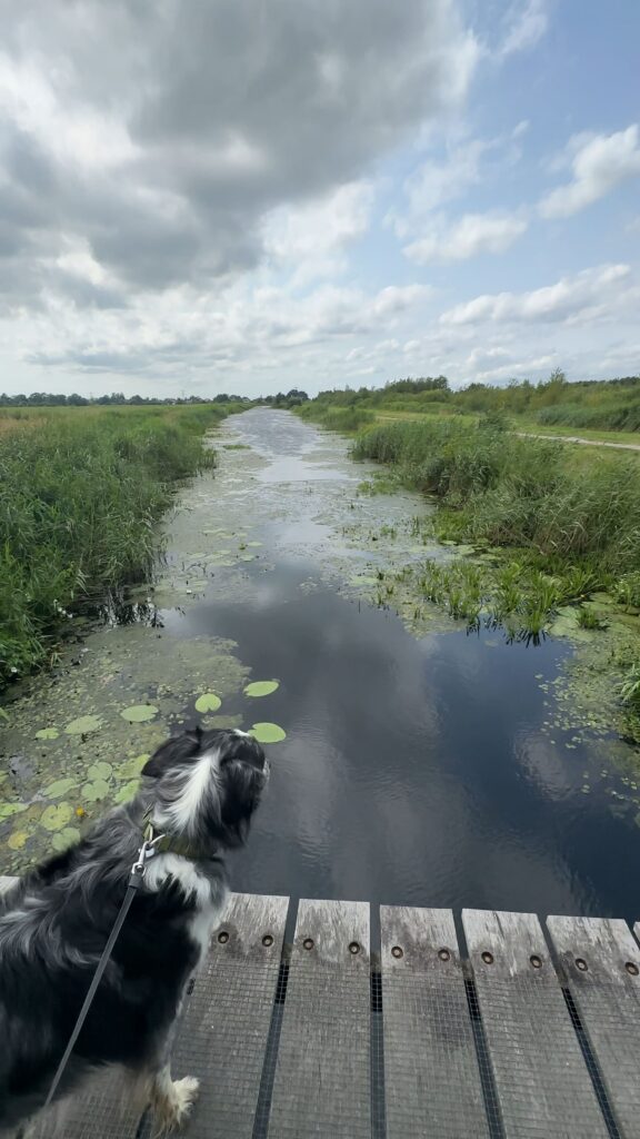 Rottige Meente wandelroute