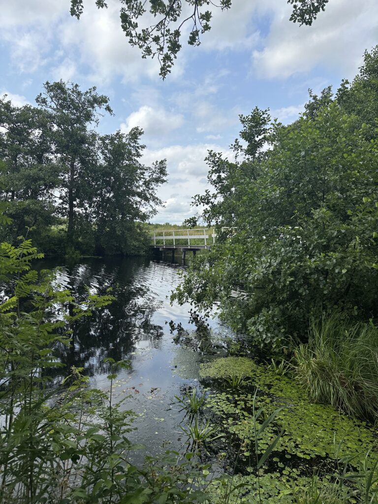 Rottige meente wandelen