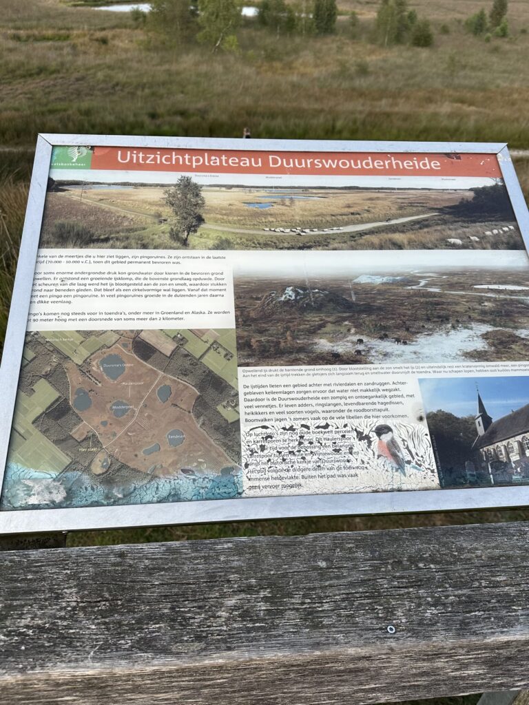 Uitzichtplateau Duurswouderheide