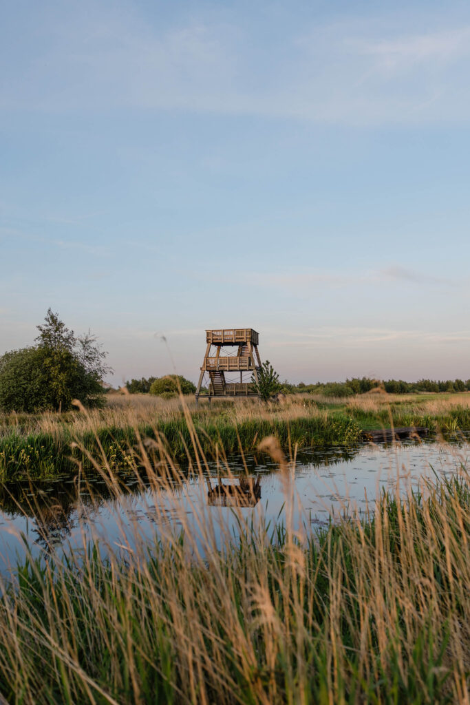 Wandelen in De Alde Feanen