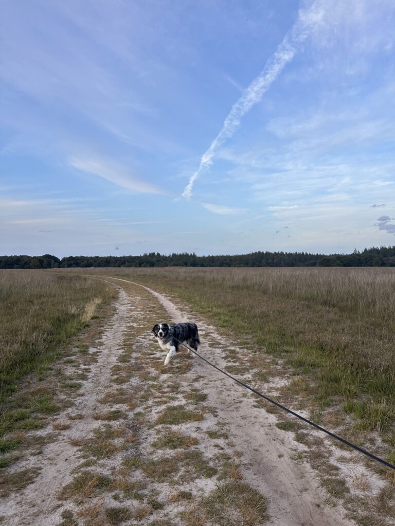 Wandelen Duurswouderheide Friesland