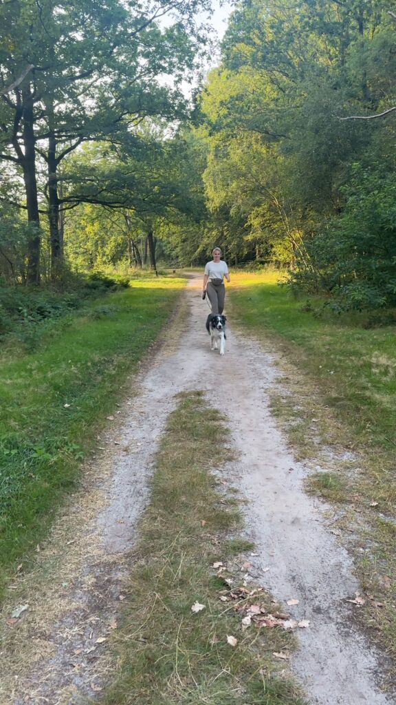Wandelen hond Duurswouderheide