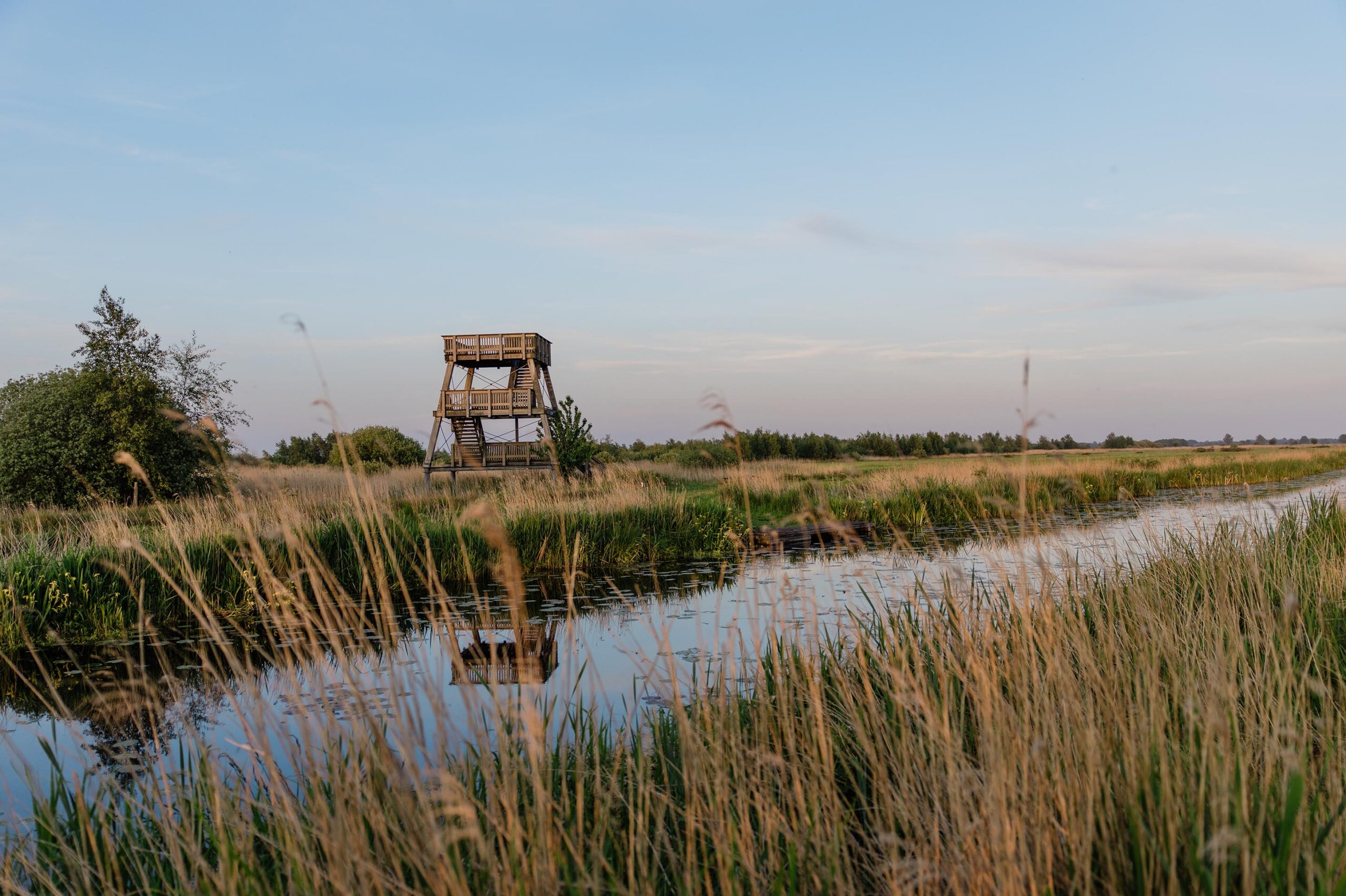 Wandelen met hond alde feanen